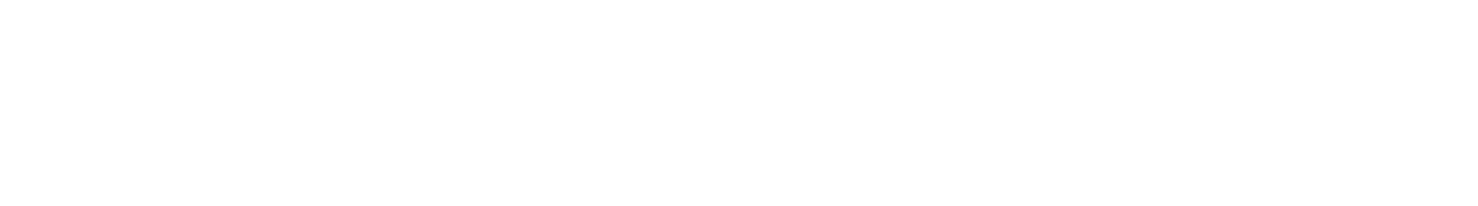 Fidez Group